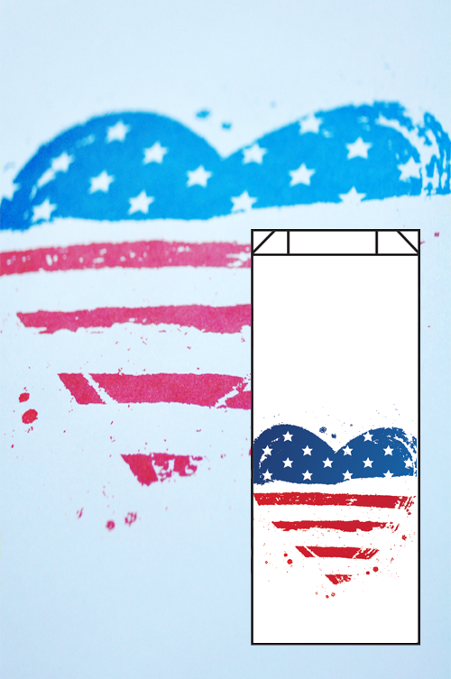 USA Design #10