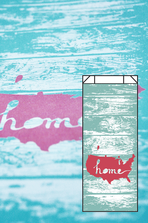 USA Design #12