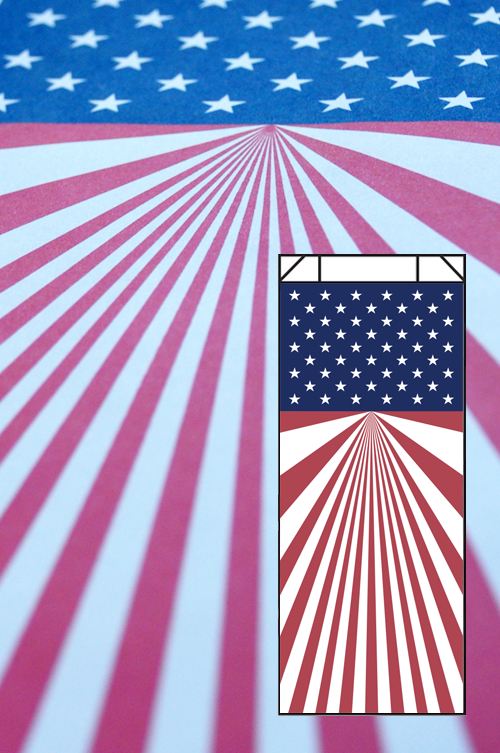 USA Design #18